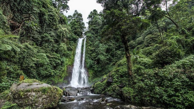 Gitgit Waterfall Tour- Best Waterfalls in Bali