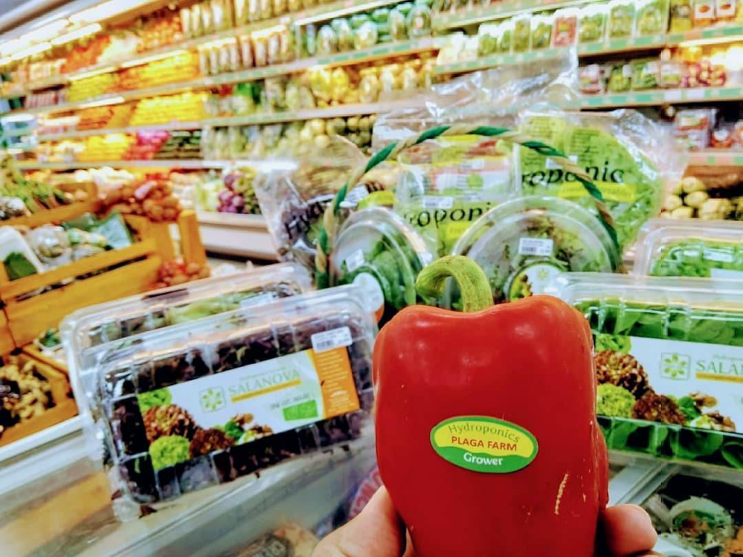 Frestive Seminyak - Best Supermarkets in Bali
